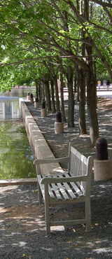 Portrait of a restful bench along a tree-lined walk